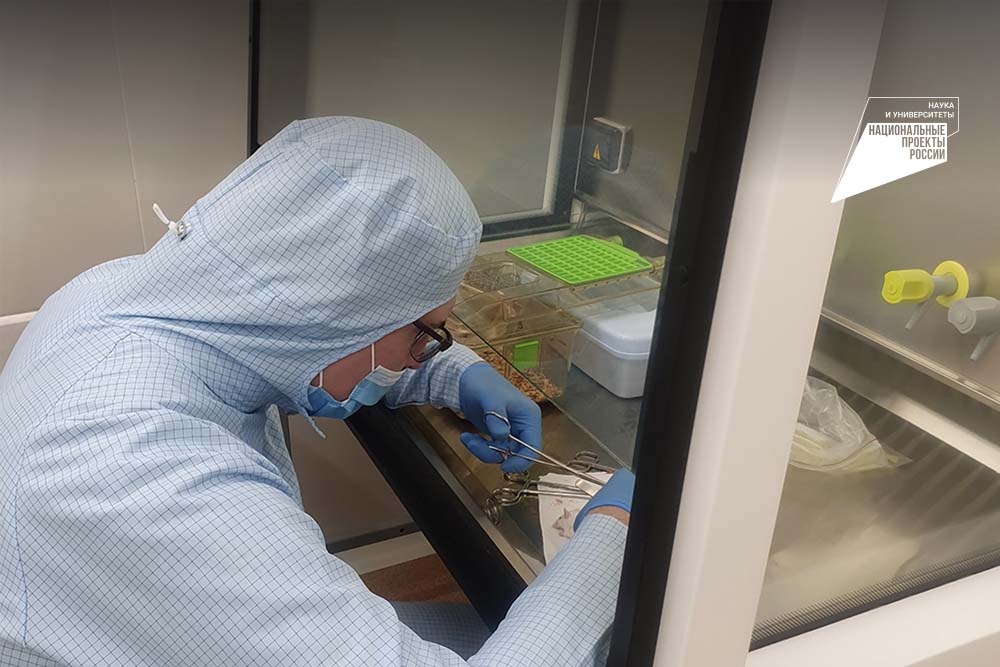 Генетики применяют новые подходы для диагностики и лечения смертельного заболевания